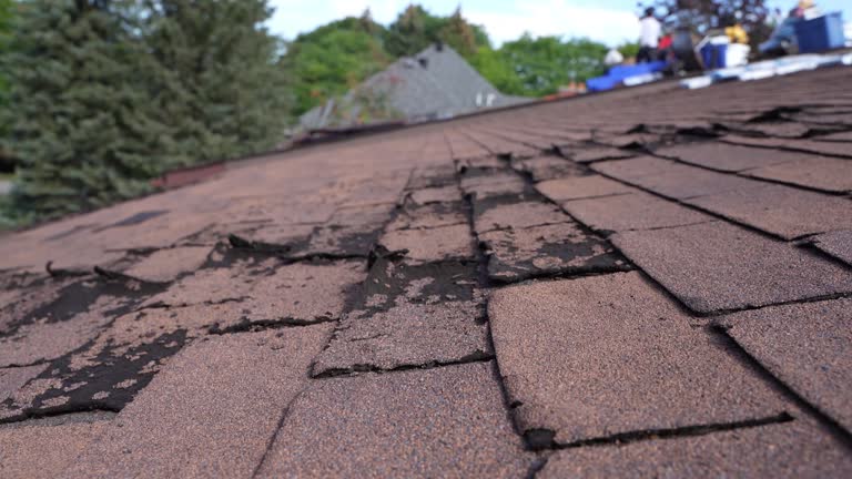 Best Solar Panel Roofing Installation  in Joliet, IL