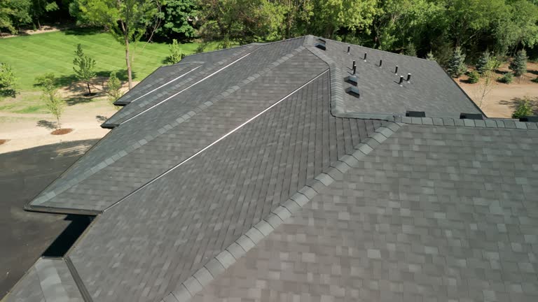 Best Roof Coating and Sealing  in Joliet, IL