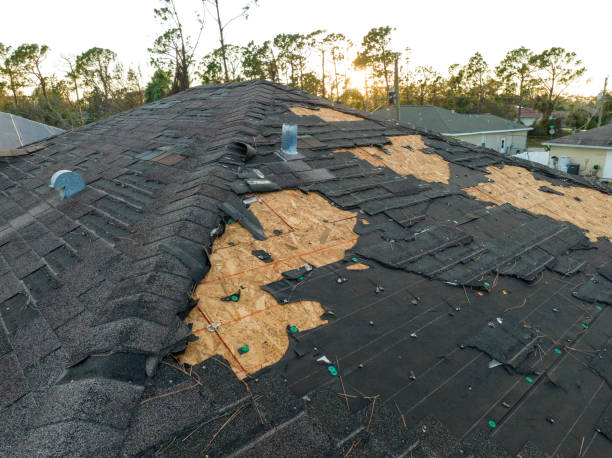 Best Rubber Roofing (EPDM, TPO)  in Joliet, IL