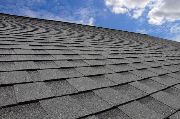 Best Skylight Installation and Repair  in Joliet, IL