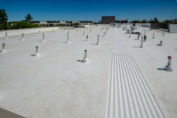 Best Metal Roofing Installation  in Joliet, IL